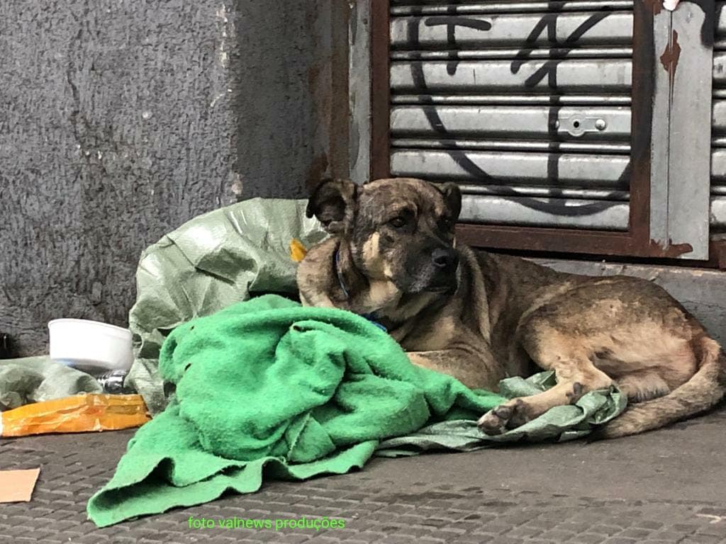 Morador de rua é encontrado morto centro de São Paulo