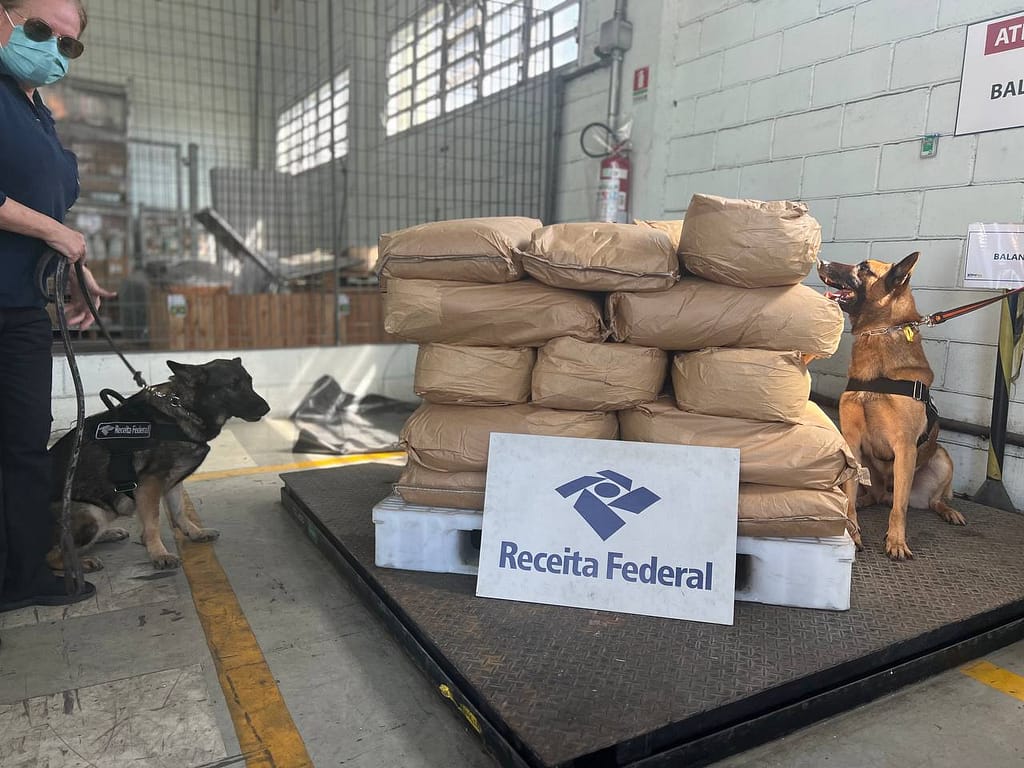 Receita Federal apreende 405kg de cocaína em carga de exportação no Porto de Santos