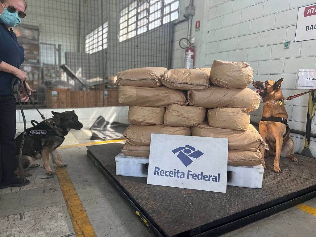 Receita Federal apreende 405kg de cocaína em carga de exportação no Porto de Santos