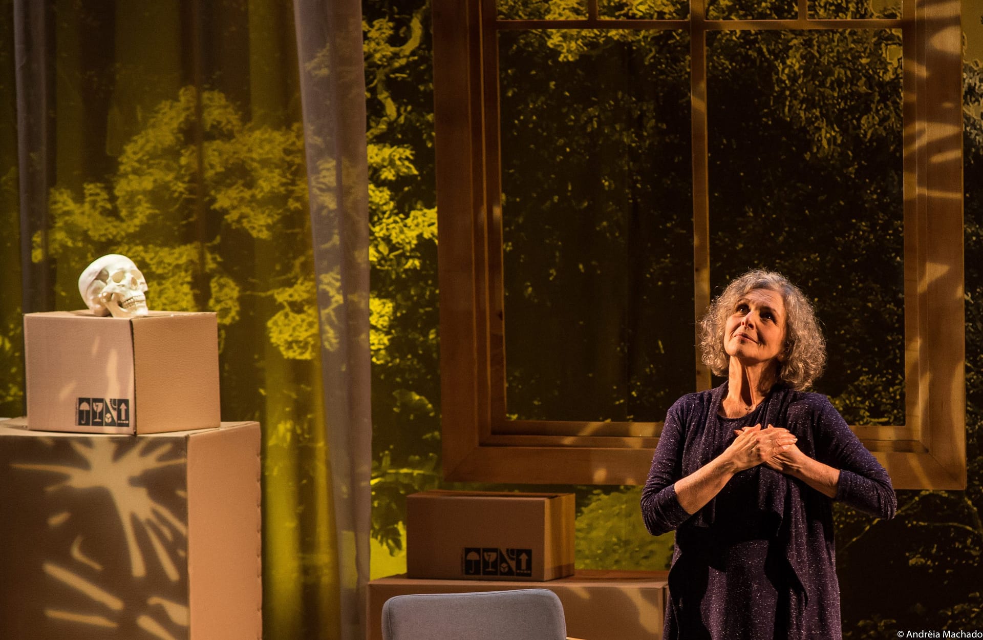 Irene Ravache reestreia o espetáculo Alma Despejada no Teatro Renaissance